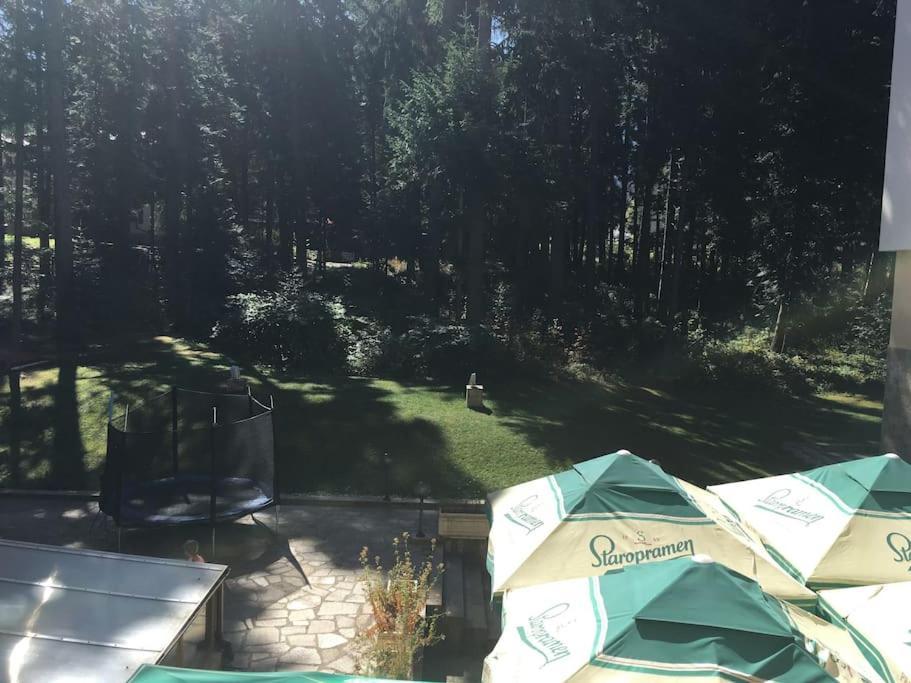Villa Park - Beniart Studio - Nr 109 - Near Gondola Lift Borovets Luaran gambar