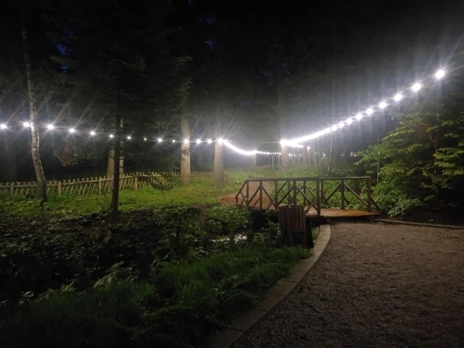 Villa Park - Beniart Studio - Nr 109 - Near Gondola Lift Borovets Luaran gambar